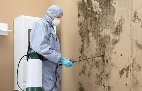 Best Comprehensive Air Testing for Mold Contaminants  in Sanatoga, PA